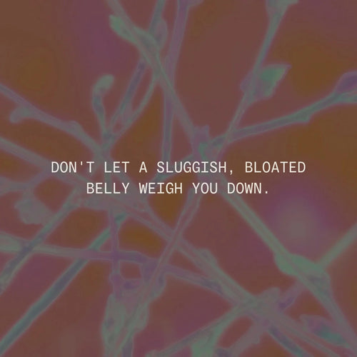 Debloat Detox™