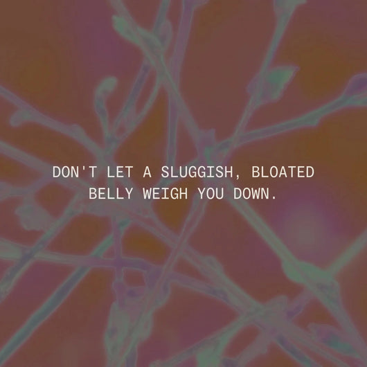 Debloat Detox™